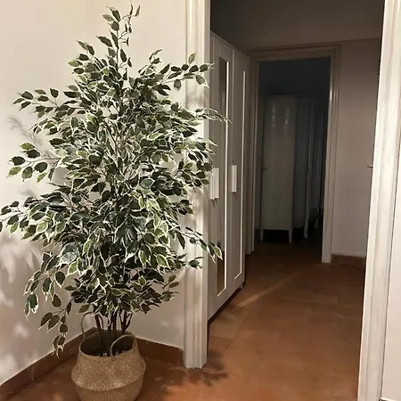 La Casa Di Gioia Apartment